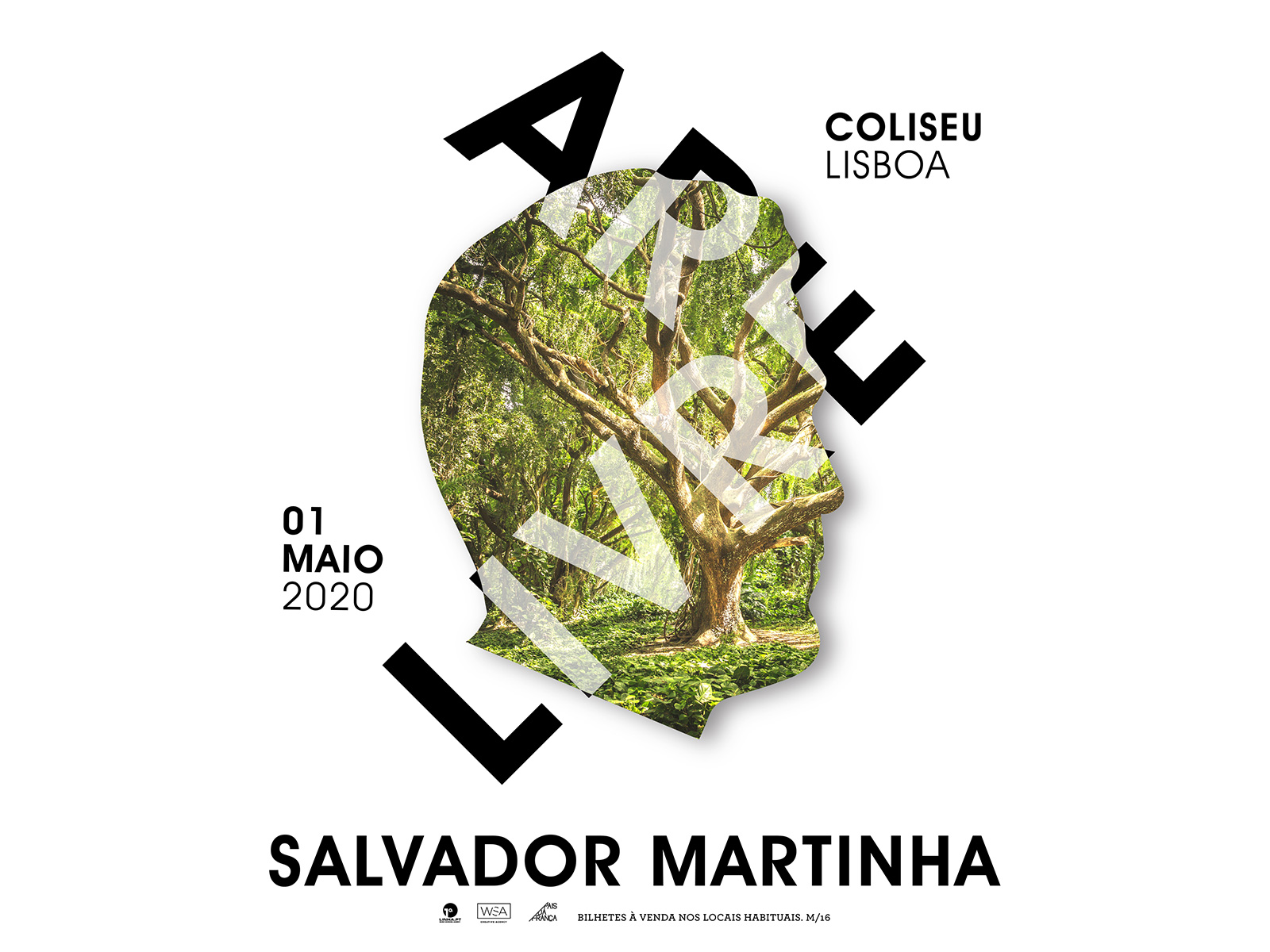 Salvador Martinha - 6